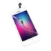 Дисплей iPhone 5S экран Белый iPhone модуль сенсор LCD для iPhone тачскрин стекло сенсор на iPhone White Tianma Защитное стекло в Подарок PAVLYSH (PD-19)