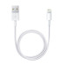 Кабель для iPhone Lightning to USB кабель зарядки для iPad IOS 1m и блок питания зарядный Комплект White PAVLYSH (PZ-05)