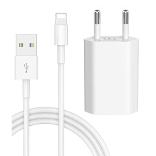Кабель для iPhone Lightning to USB кабель зарядки для iPad IOS 1m и блок питания зарядный Комплект White PAVLYSH (PZ-05)