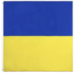 Флаг Украины 140 х 90 см из нейлона с кольцами под флагшток наружный.