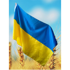 Флаг Украины государственный уличный габардин с кольцами для крепления на клипсы флагштока Сине-желтый 140 х 90 см Kayfovo UA-1