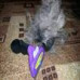 FURminator фурминатор с кнопкой для собак и котов для удаления шерсти универсальный, расческа от шерсти для домашних животных Размер L 6,5см ширина лезвия (462655)
